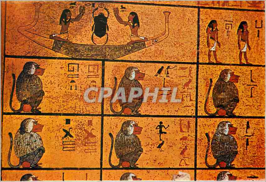 CPM Tomb of Tut Ankh Amun Les babouins sacres assistent au voyage nocturne du soleil dans le monde i
