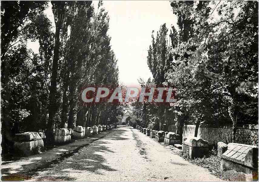 CPM La Provence Romaine Arles B du Rh Les Alyscamps 