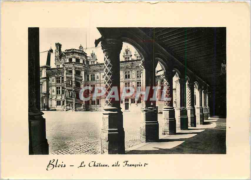 CPM Blois Le Chateau aile Francois 1er 