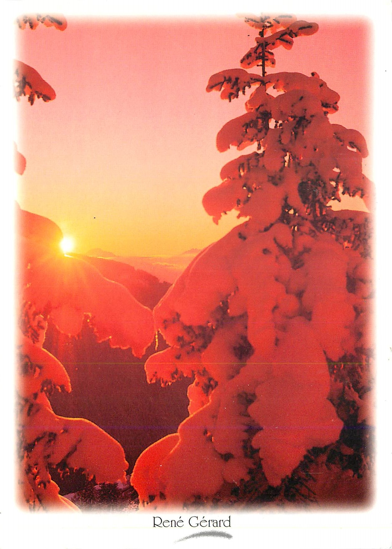 CPM Image de Montagne Feerie hivernale 