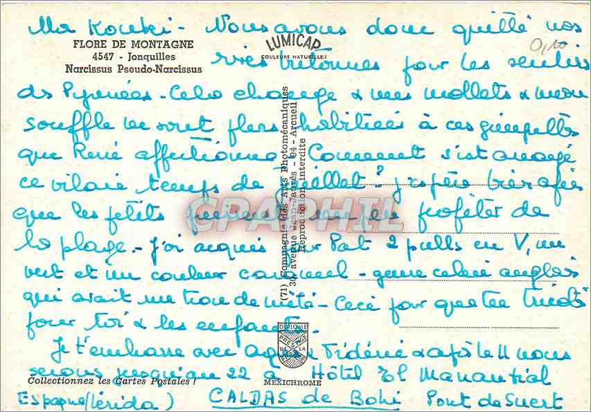 CPM Flore de Montagne Jonquilles Narcissus Pseudo Narcissus  — Verso
