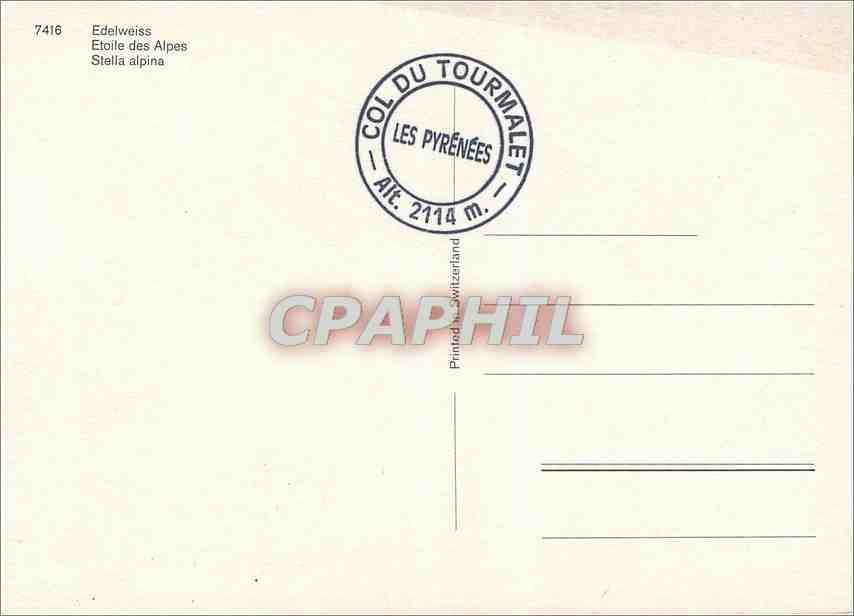 CPM Edelweiss Etoile des Alpes Stella Alpina  — Verso