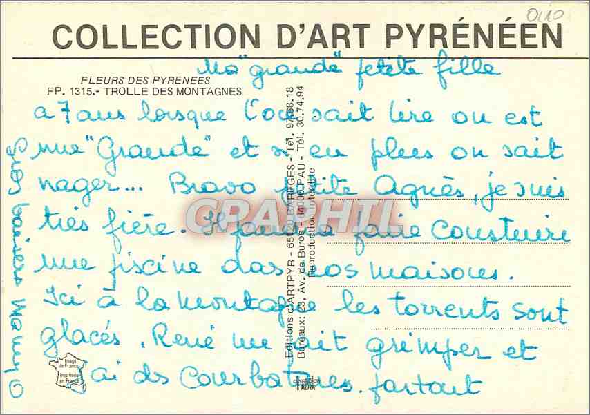 CPM Fleurs des Pyrenees Trolle des Montagnes  — Verso