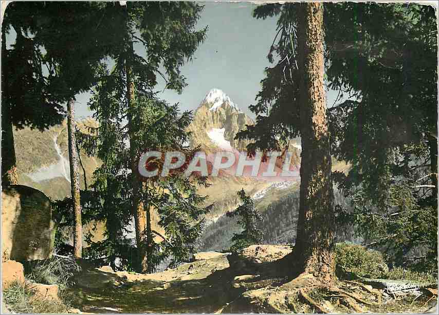 CPM Image des Alpes Nous avons marche joyeux sur le petit sentier de la foret 