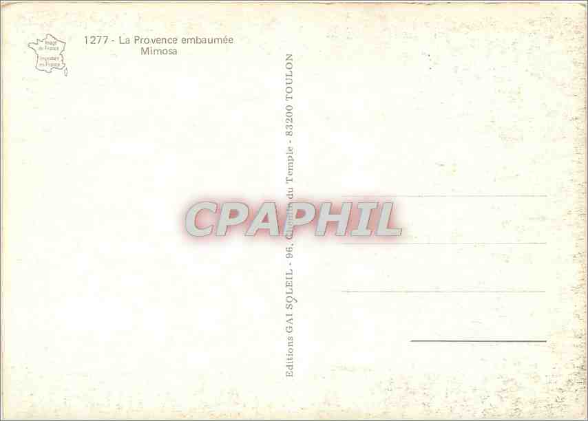 CPM La Provence embaumee Mimosa  — Rückseite