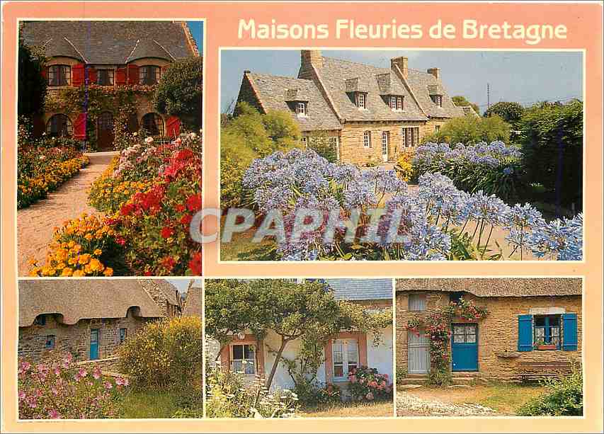 CPM Couleurs de Bretagne Maisons typiquees 