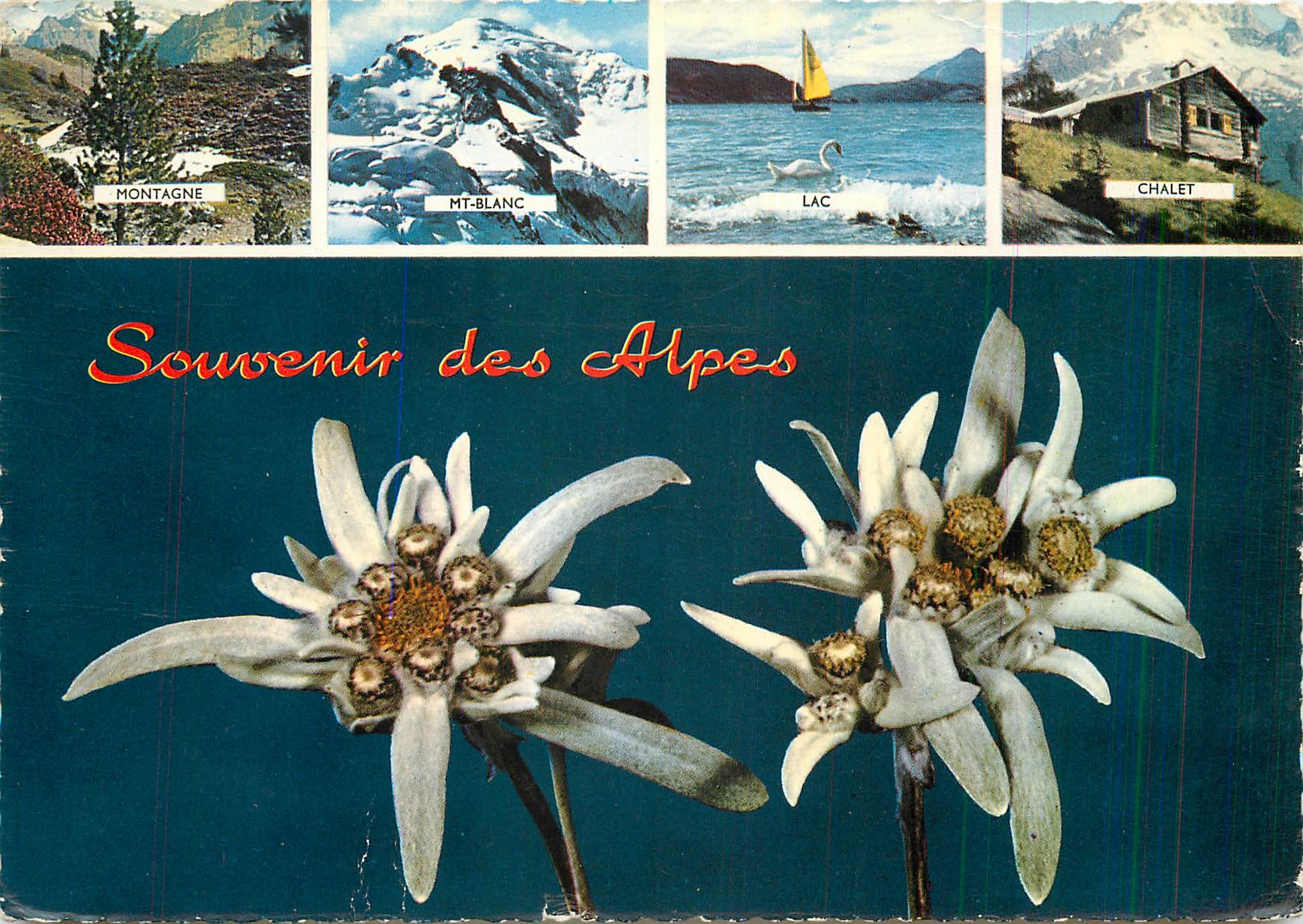 CPM Souvenir des Alpes Montagne Mt Blanc Lac Chalet 