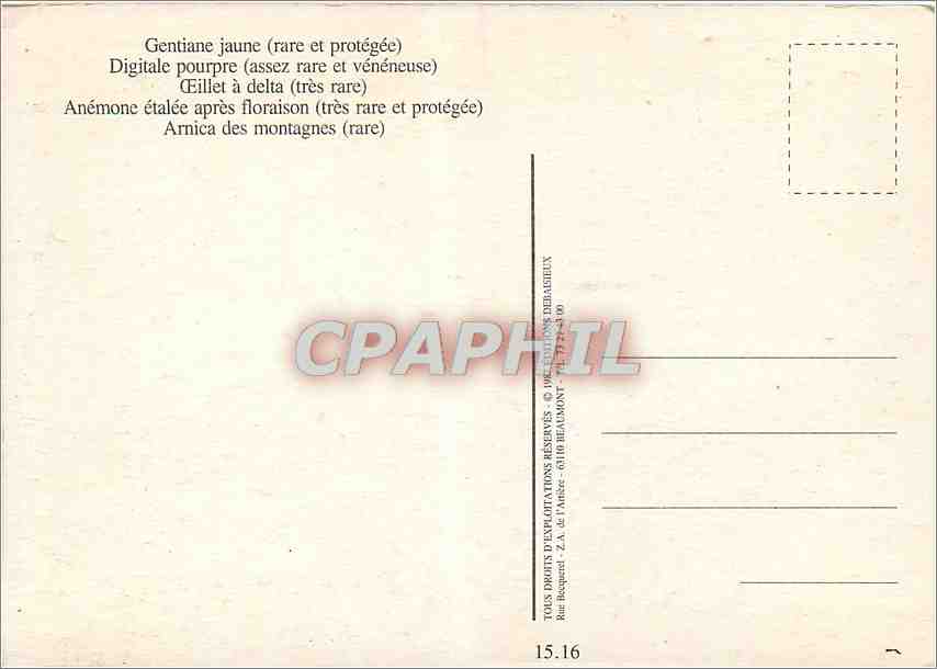 CPM Fleurs rares Gentiane jaune rare et protege Digitale pourpre assez rare et veneneuse  — Back