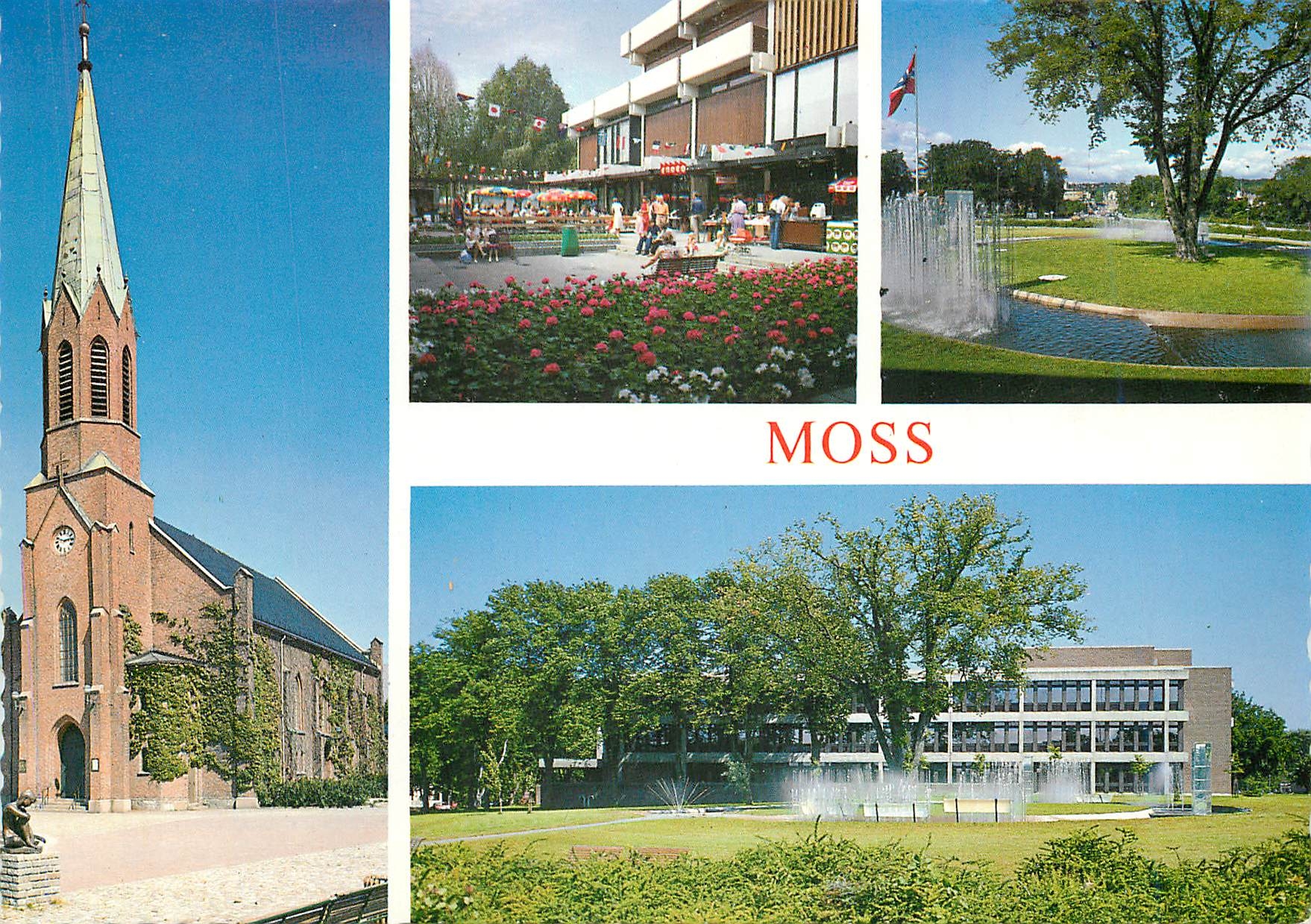 CPM Moss 