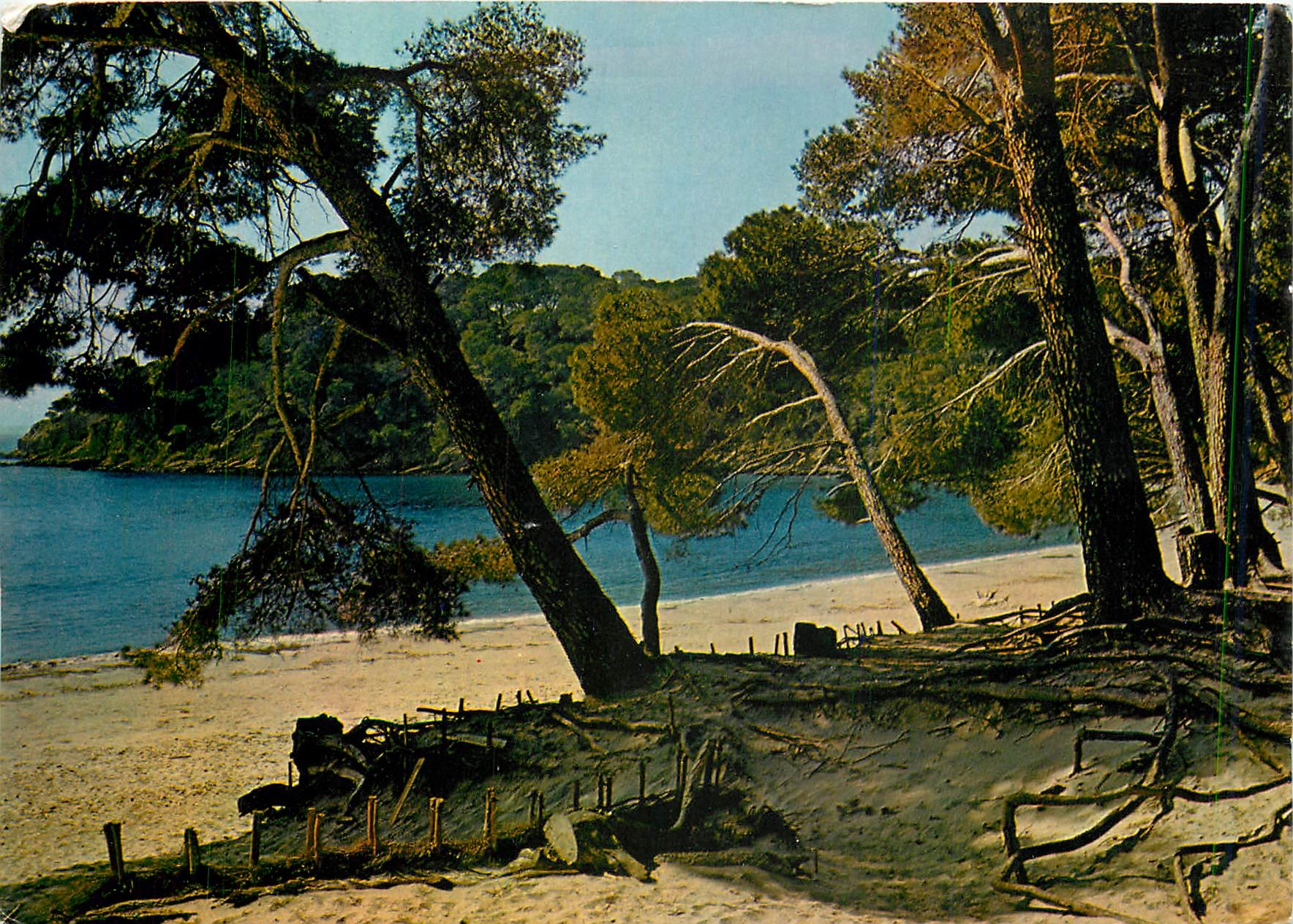 CPM Mediterranee aux plages d'or ensoleillees Calanque ou la vague s'abrite 