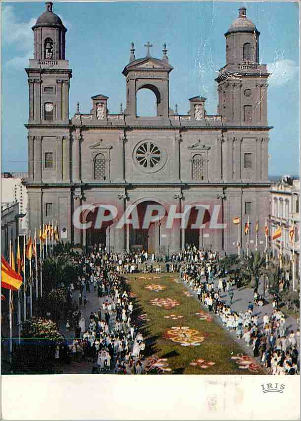 CPM Les Palmas de Gran Canaria La Cathedrale et les tapis de fleurs de la Fete Dieu 