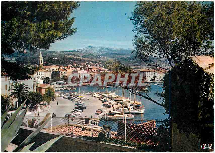 Sanary-sur-Mer — Le Port vu du Chemin des Cratoires — Éditeur IRIS