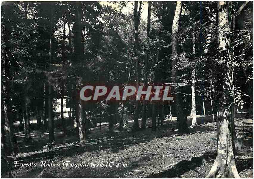 CPM Foresta Umbra Matteo Savastano Albe ge Rifugio 