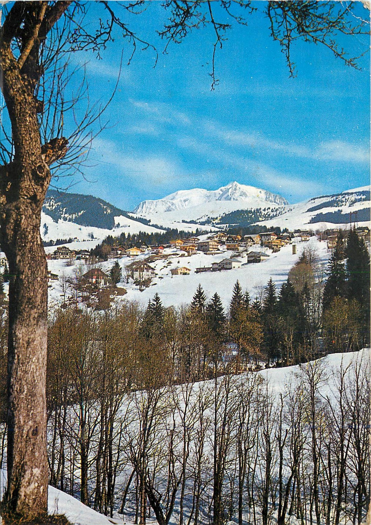 CPM Megeve Hte Savoie Vue generale Dans le fond le Mont Blanc 