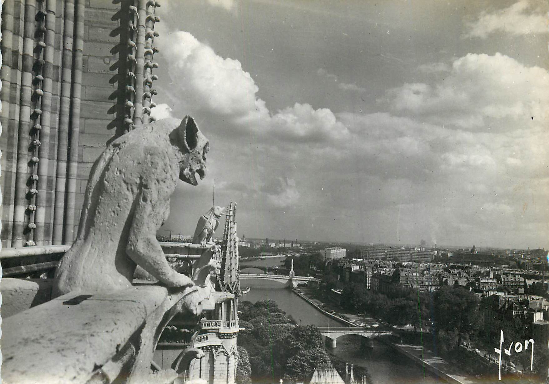 CPM Paris Notre Dame Chimeres et Panorama sur la Seine 