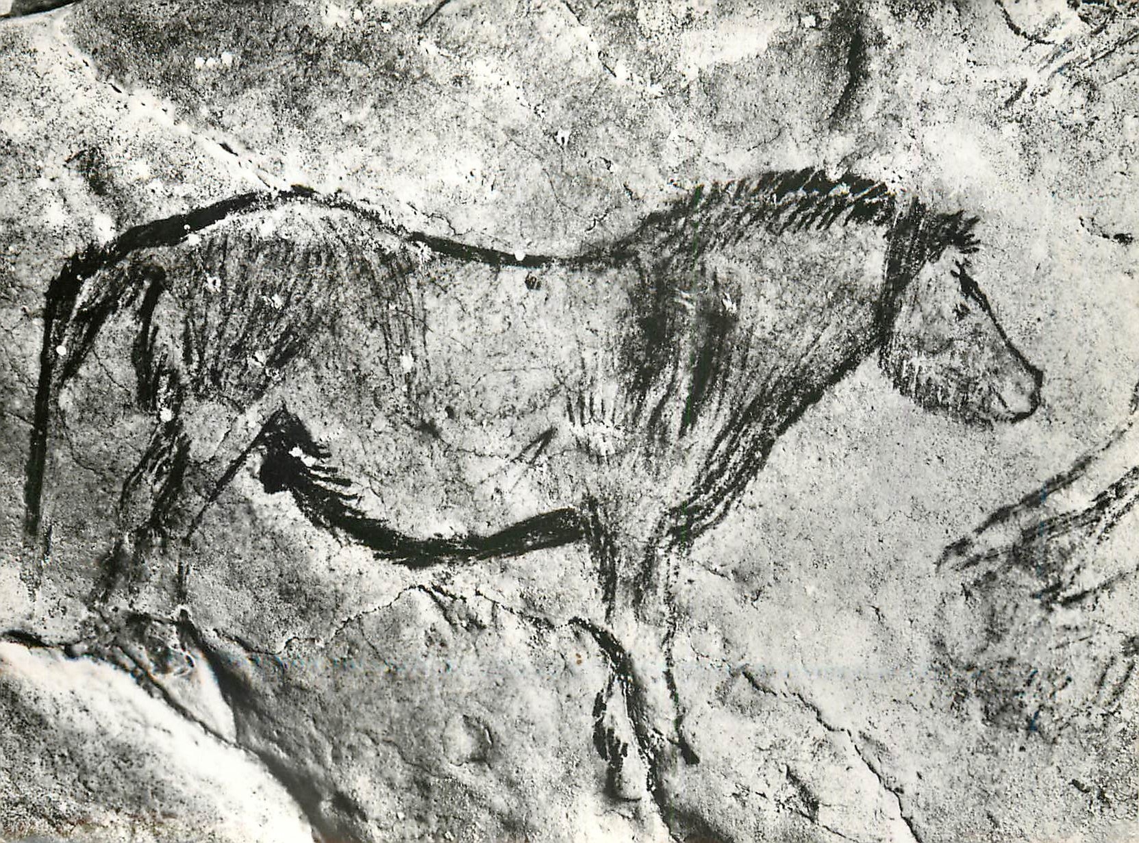 CPM Grotte Prehistorique de Niaux Ariege Pyrenees SalonNoir Cheval 