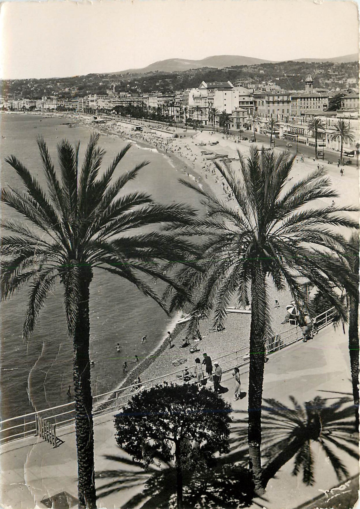 CPM La Cote d'Azur Nice Le Quai des Etats Unis 