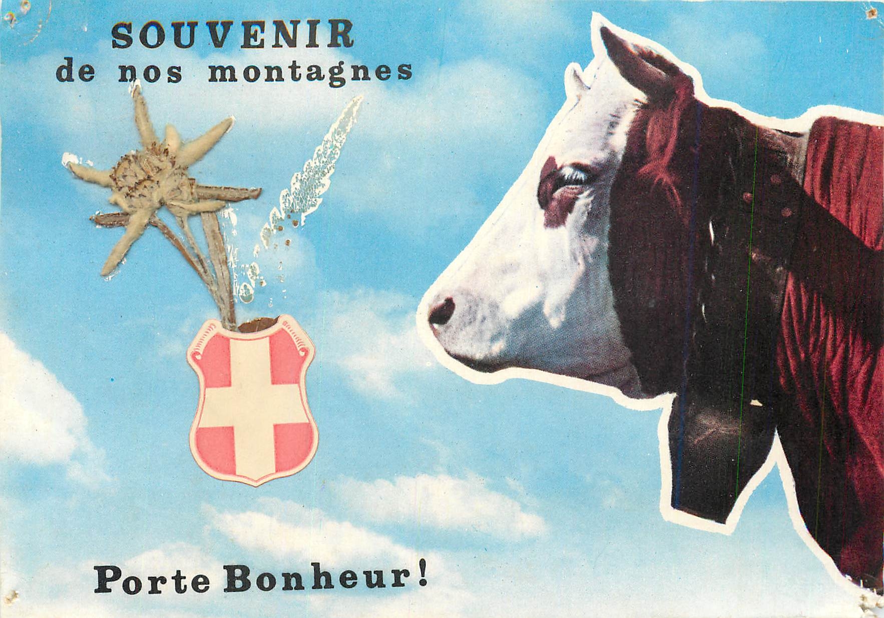 CPM Souvenir de nos montagnes Porte Bonheur Vache