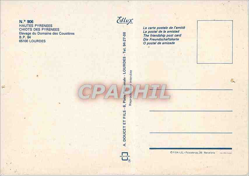 CPM Hautes Pyrenees Chiots des Pyrenees Elevage du Domaine des Cousteres Lourdes  — Rückseite
