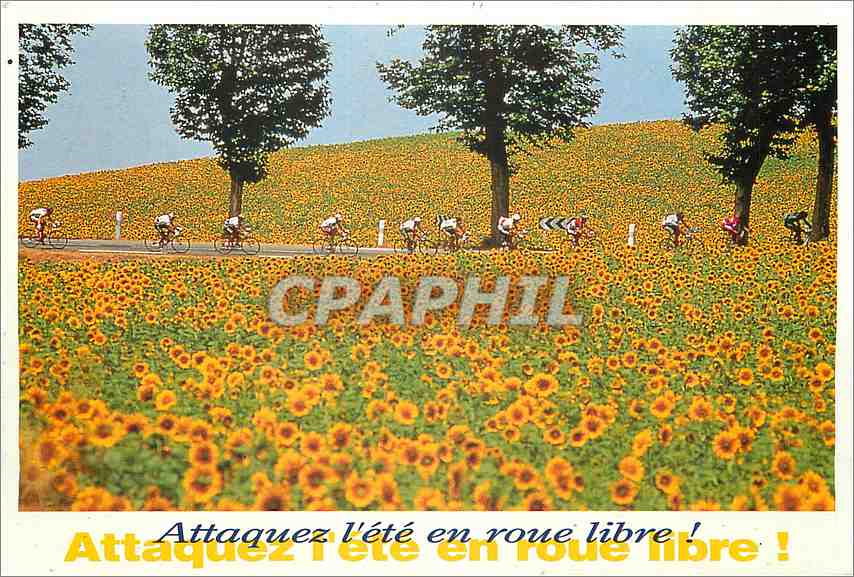 CPM Cyclisme Saint Gaudens Castres Tour de France Velo Cycle