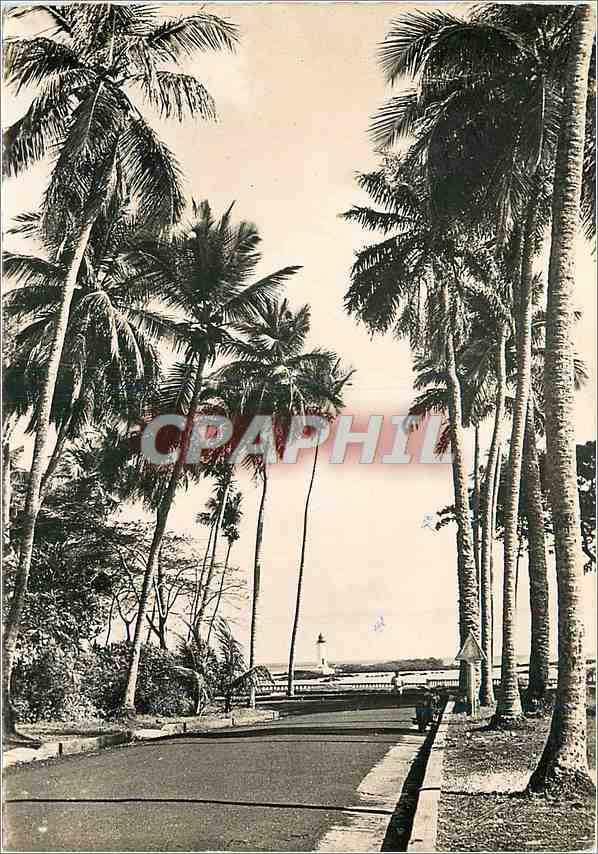 CPM Conakry Guinee La Corniche et le phare de Boulbinet 