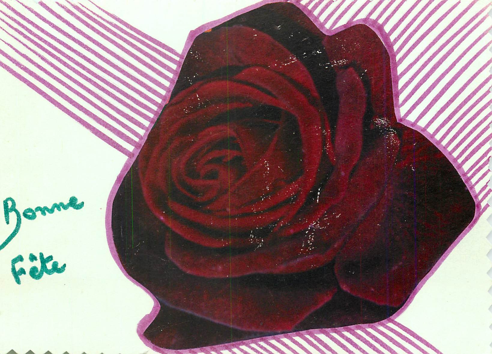 CPM Fleurs