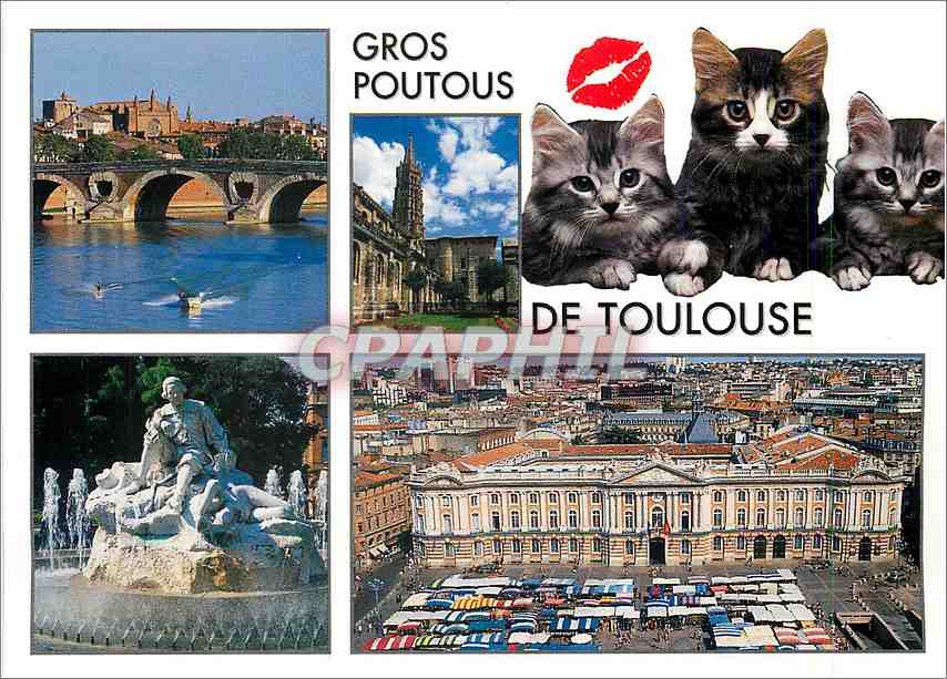 Toulouse — Gros Poutous de Toulouse — éditeur CPAPHIL