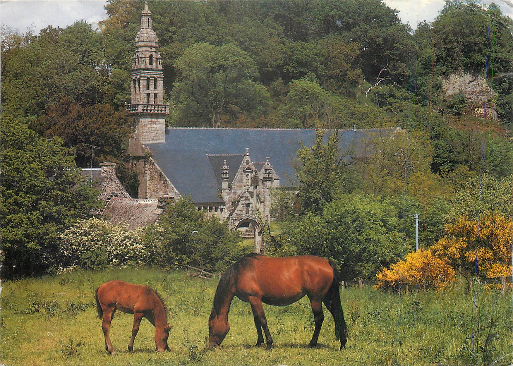 CPM Paturage en Argoat Chateaulin 
