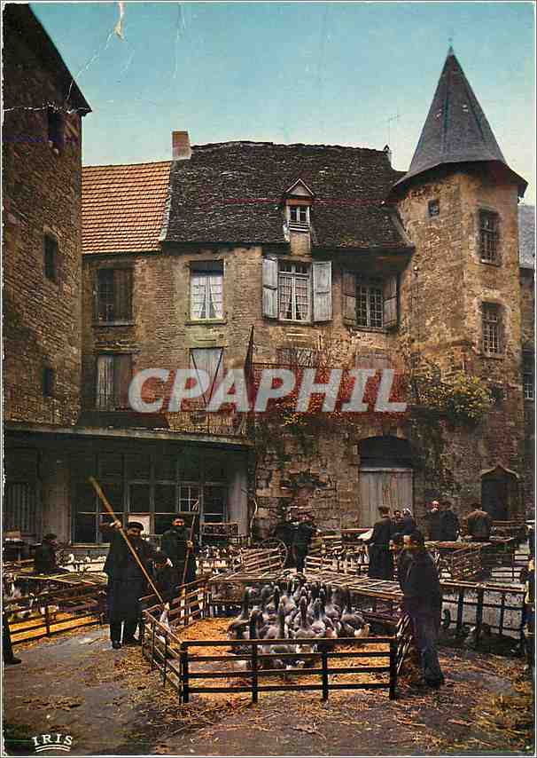 CPM Le Perigord Touristique Le marche aux oies 