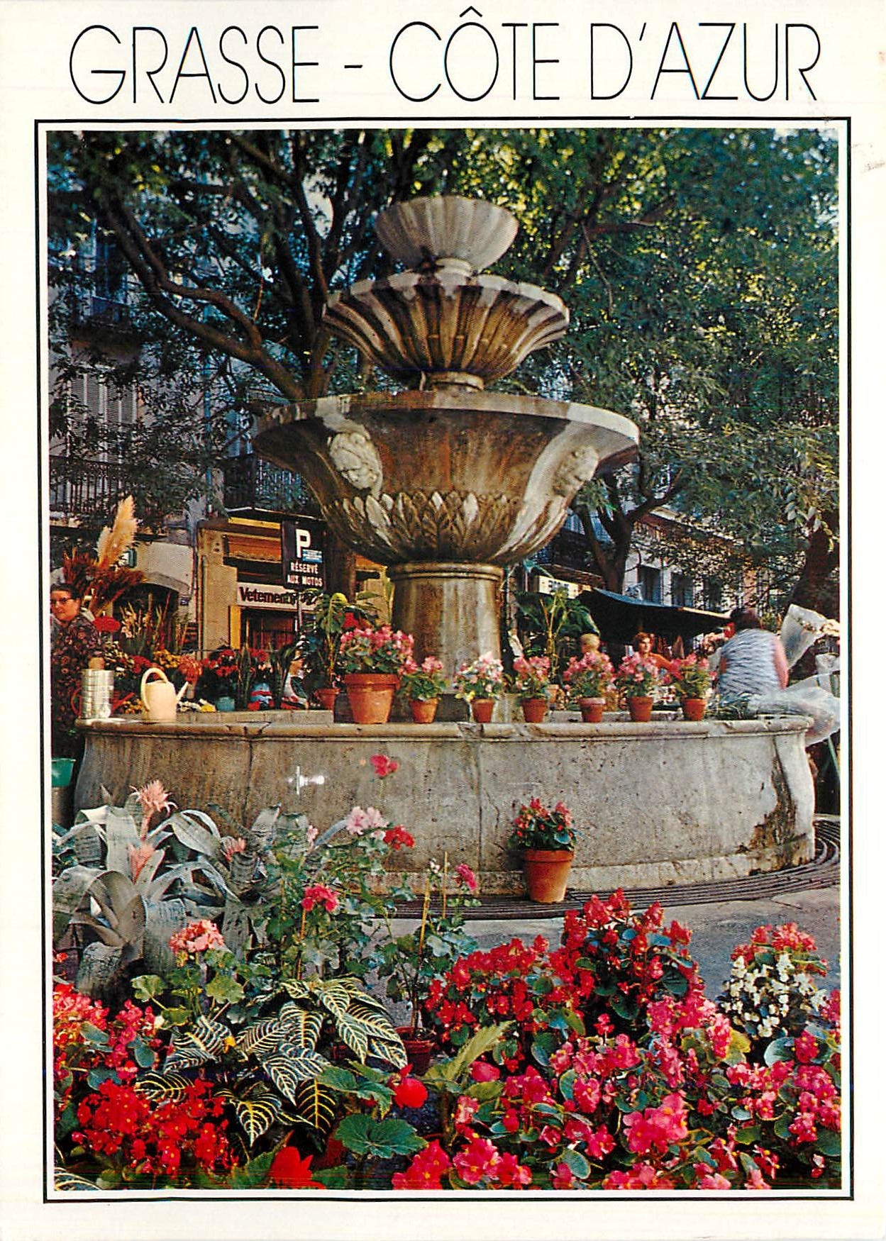 CPM Grasse Cote d'Azur 