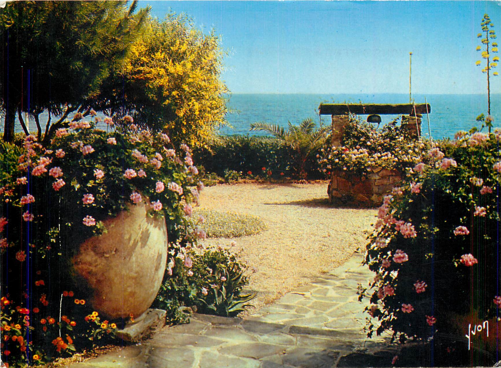 CPM La Cote d'Azur miracle de la nature Jardin fleuri 