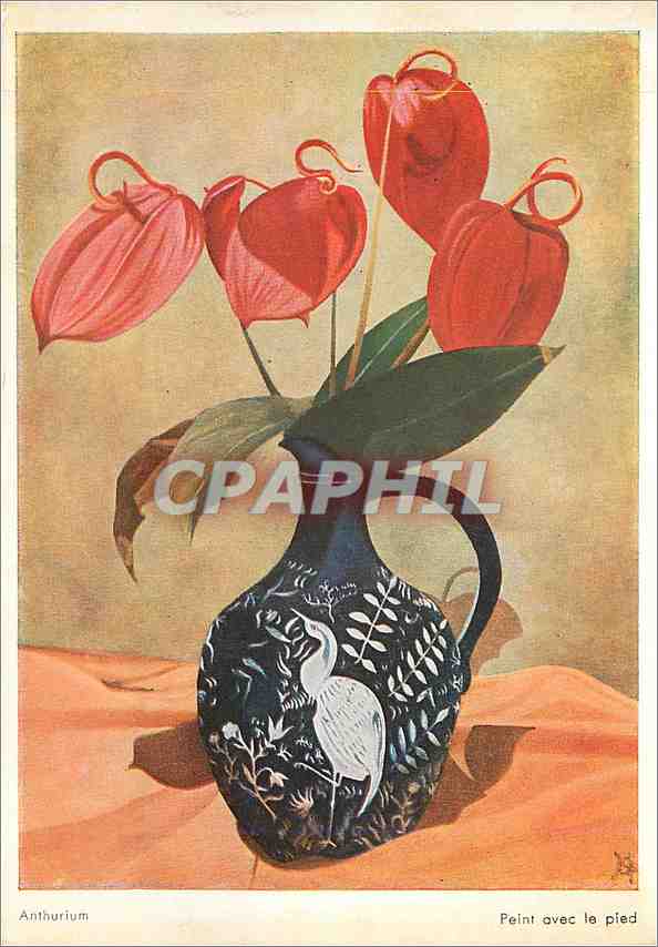 CPM Anthurium Peint avec le pied 