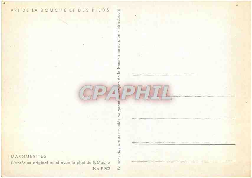 CPM Meilleurs Voeux Marguerites  d'Apres un Original peint avec le peid de E Macho  — Rückseite