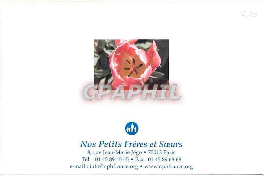 CPM Nos Petits Freres et Soeurs rue Jean Marie Jego  — Rückseite