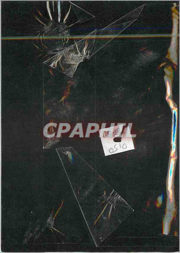 CPM Fleurs sechees — Verso