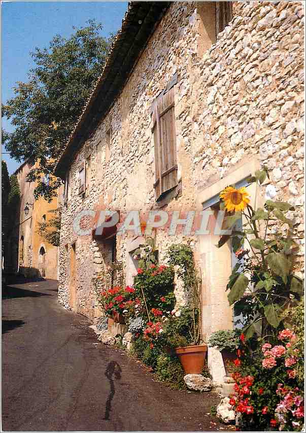 CPM Les Belles Images de Provence Rue typique 