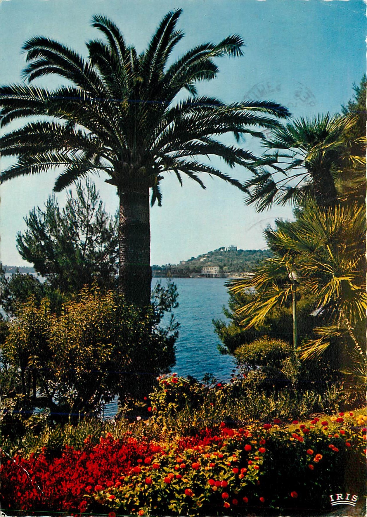 CPM Reflets de la Cote d'Azur Paysage Mediterraneen 