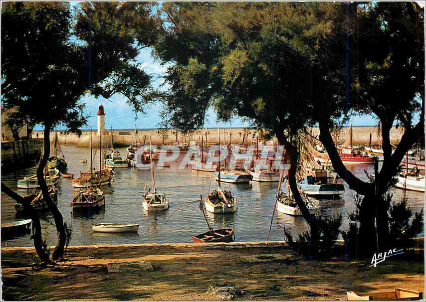 CPM Sur La Cote de Lumiere Ile d'Oleron la Cotiniere Port de Peche 