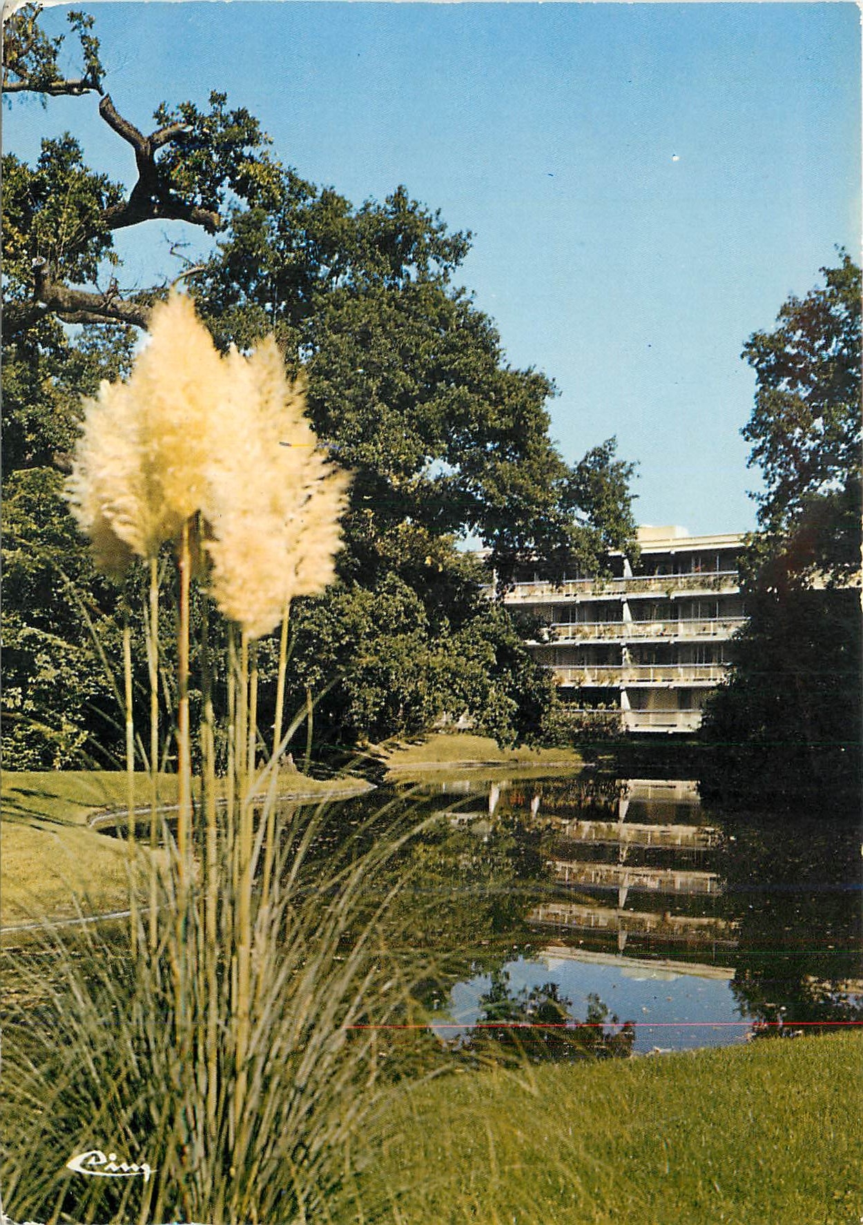 CPM Vaires sur Marne S et M Parc de l'Aulnay 