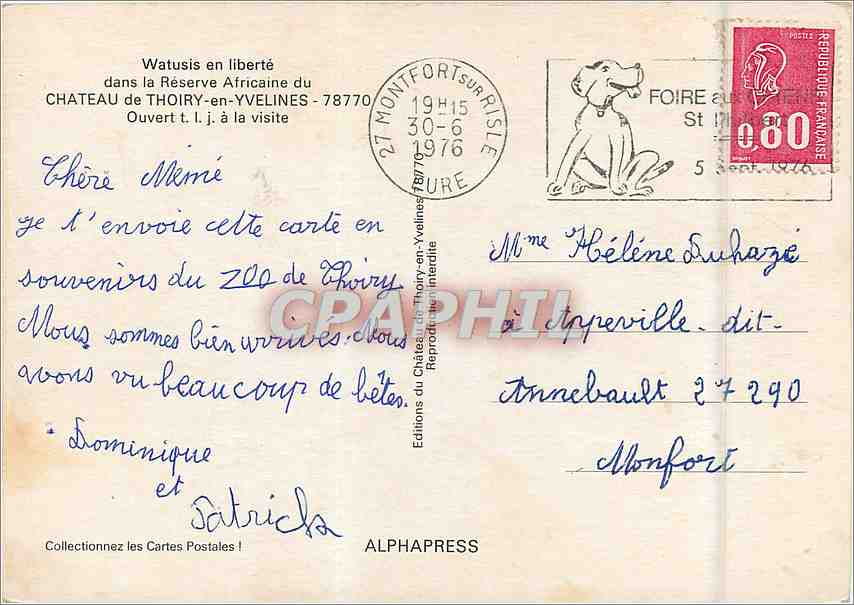 CPM Watusis en Liberte dans la Reserve Africaine du Chateau de Thoiry en Yvelines  — Rückseite