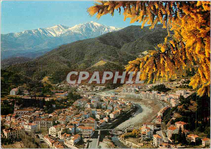 CPM Lumiere et Couleurs du Vallespir Amelie les Bains 