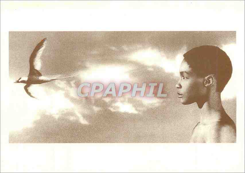 CPM L'Enfant et l'Oiseau 