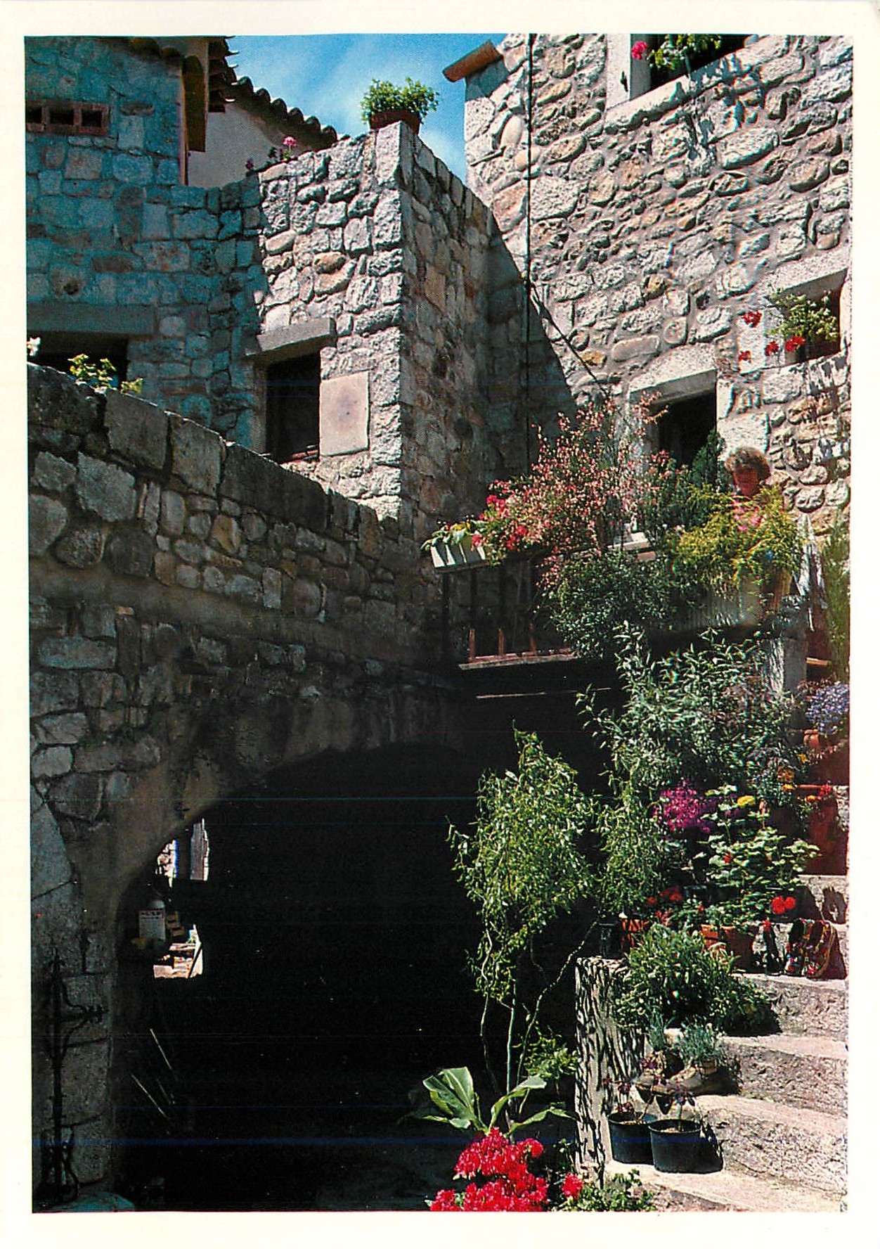 CPM Gorges de l'Ardeche Ruoms vieux village ardechois 