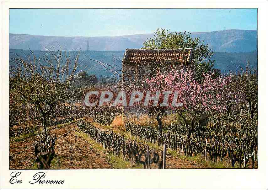 CPM En Provence 