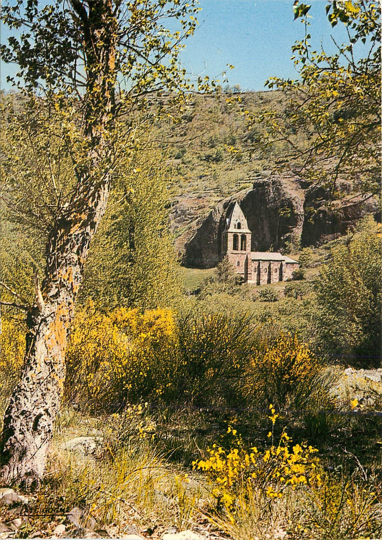 CPM La Haute Loire Touristique Dans les Gorges de l'Aller Saint Marie des Chazes 