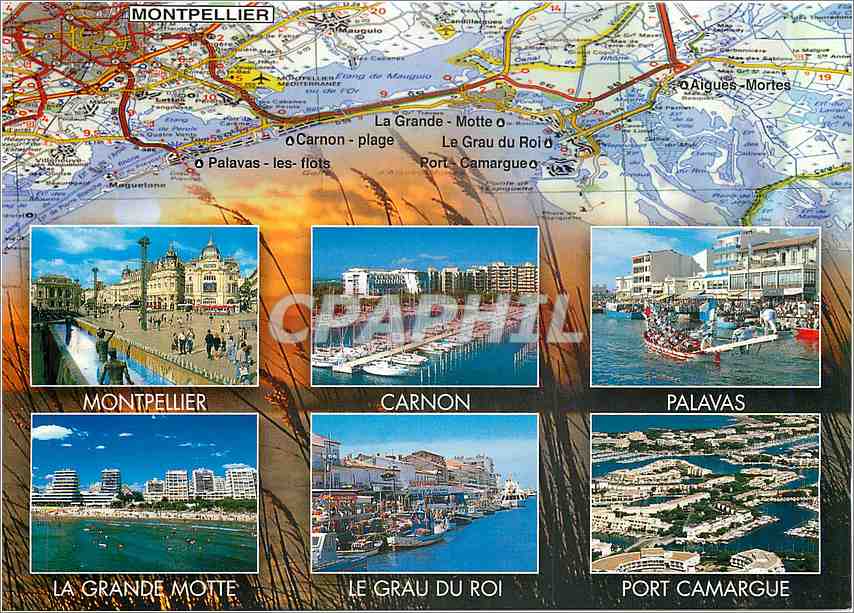 CPM Littoral Languedocien Montpellier Carnon Palavas La Grande Motte Le Grau du Roi Port Camargue