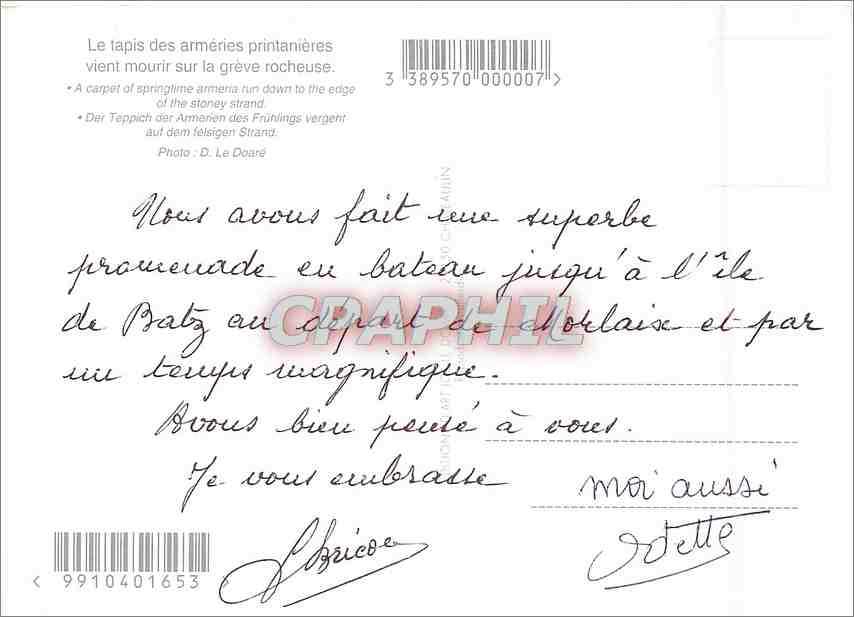 CPM Le Tapis des Armeries printanieres vient mourir sur la greve rocheuse  — Verso