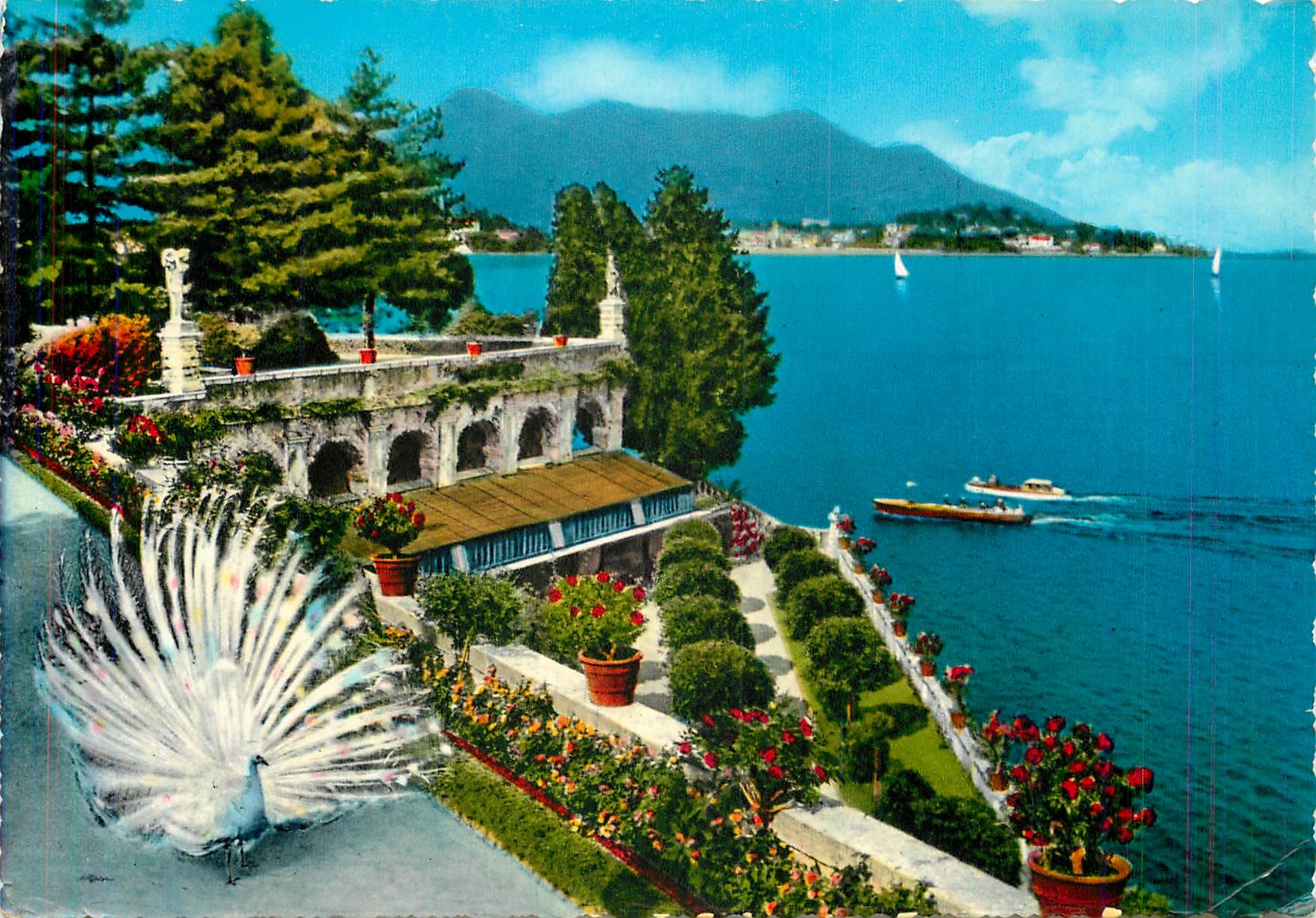 CPM Le Lac Majeur Isola Bella Le Jardin 