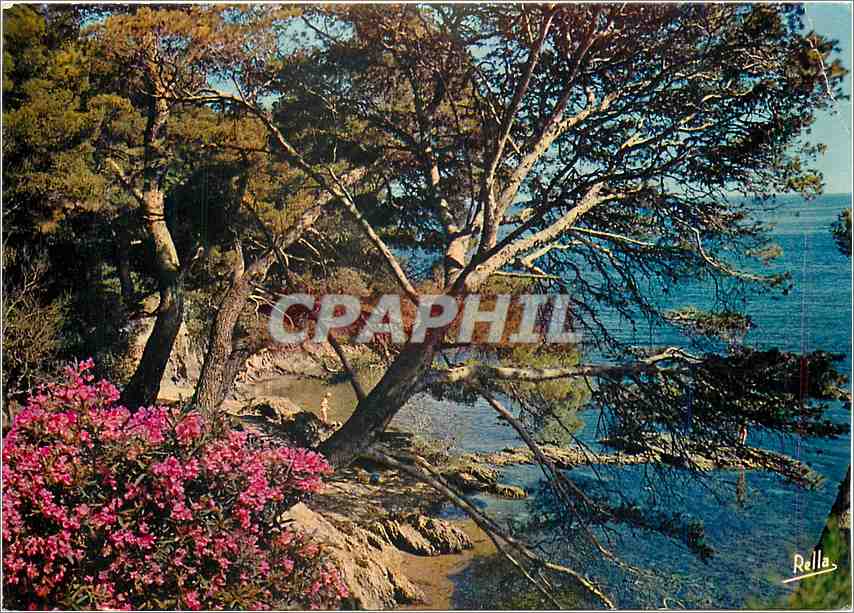 CPM La Cote d'Azur Bord de mer 