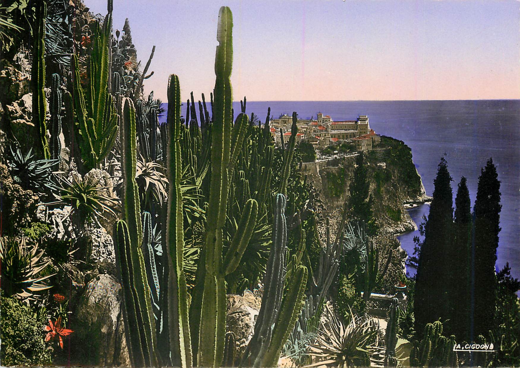 CPM Monaco Les Jardins Exotiques Vue sur le Rocher de Monaco 